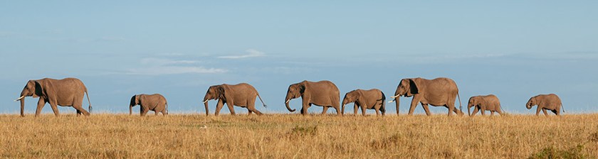 Botswana is Larger than Life