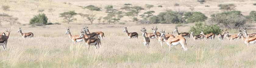 6namibia2