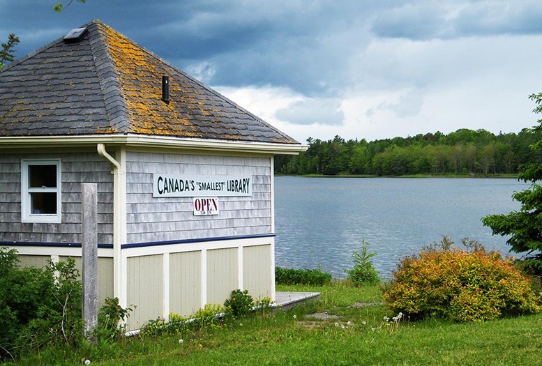 'Book Tours' Lead to Fascinating Libraries