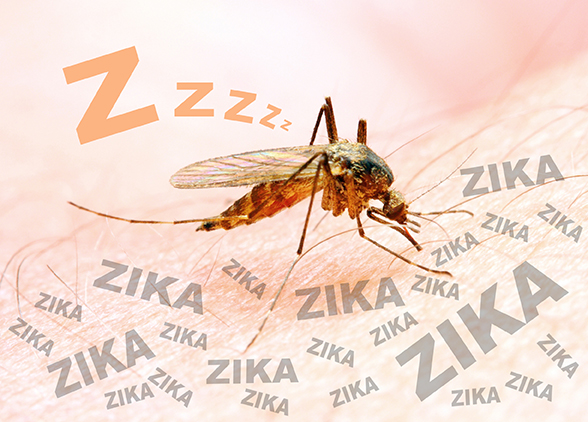 Zika Still worries some Winter Travellers