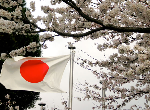 Japan Blossoms All Year Long