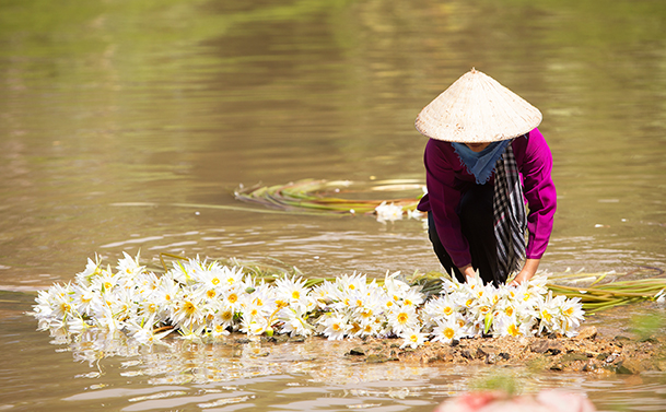 Museum Honours Vietnamese Women