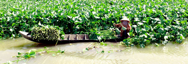 A Voyage Down Vietnam's Mighty Mekong