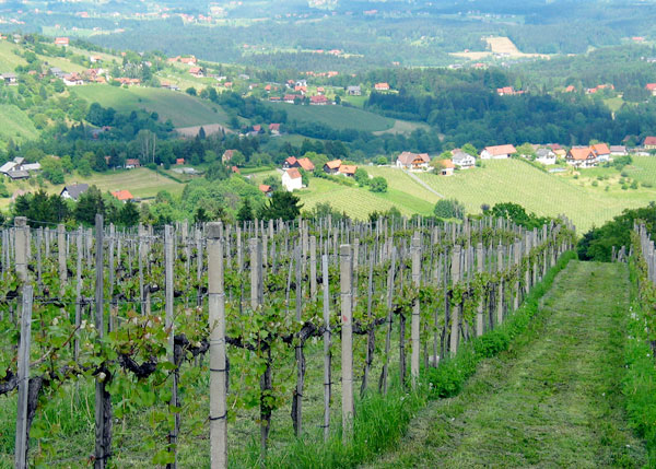 Austrian Wine as Sweet as the Country