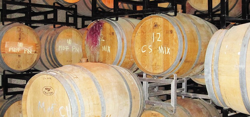 Raising a Glass to Niagara's Wine Region