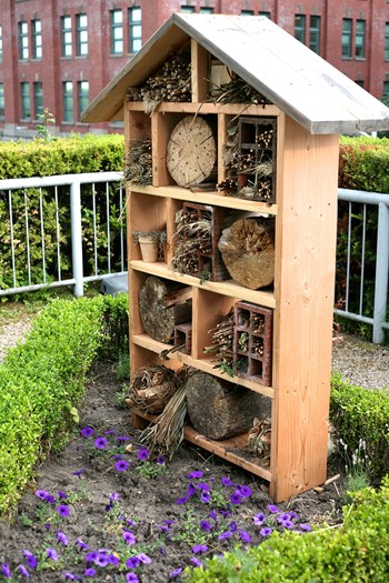 6bee-hotel