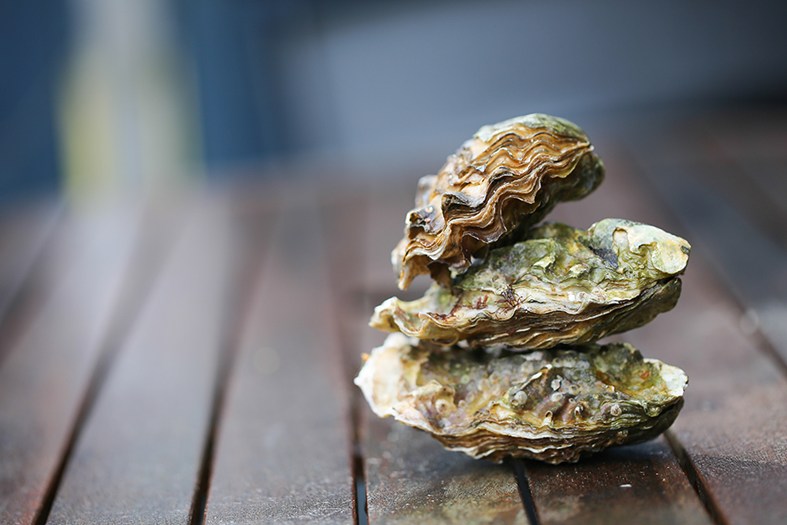 AW, shucks! P.E.I. oyster festival a fun event