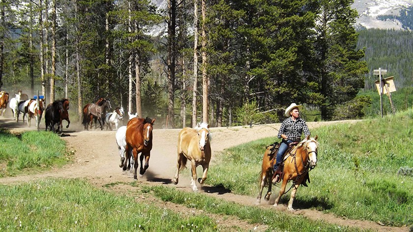 Hey Dude, This Colorado Ranch is for You!