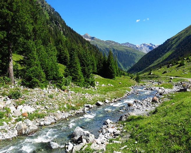 Bellying Up to a Moveable Feast in Austria