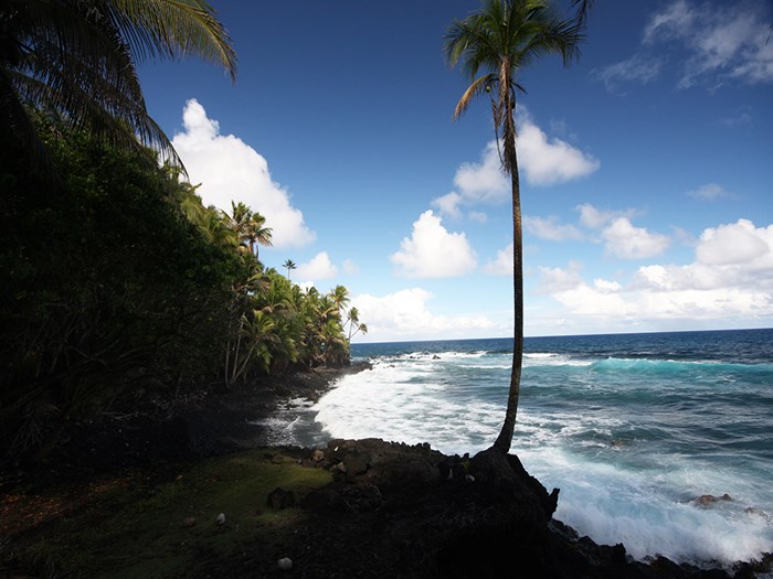 Going Off Road in Hawaii